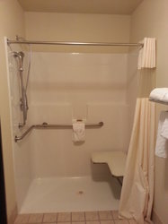 1 Queen Bed with Roll In Shower, ADA Accessible Room 102 Only