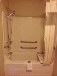 1 Queen Bed with Tub/Shower, ADA Accessible 325 Only