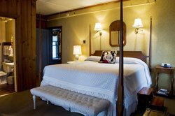 Charming Guest Rooms