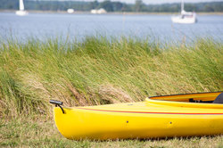 Kayaks are a popular rental for hotel and vacation suite guests.