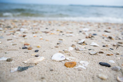 Your private beach awaits at our Chesapeake Bay Hotel in Oxford, MD.