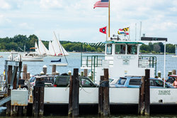 Take the Oxford Ferry or Drive Around to St. Michaels