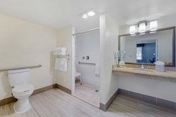 King Mobility Accessible Bathroom