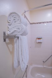 Queen Terrace Bathroom Shower
