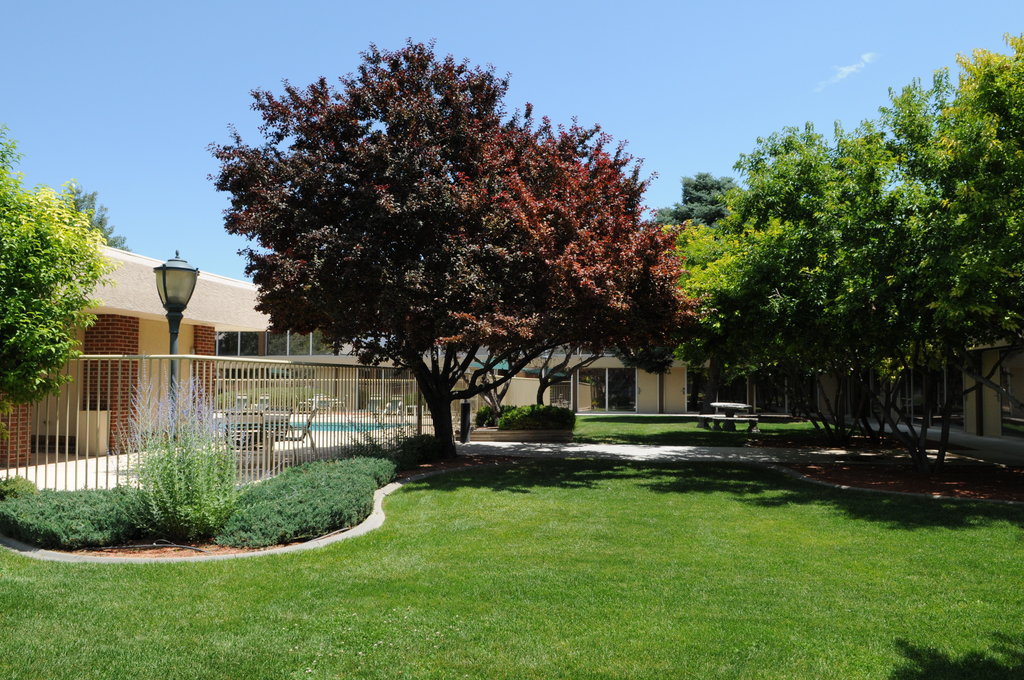 Spacious Hotel Rooms In Grand Valley Clarion Inn Grand Junction