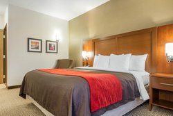 2 King Bed Suite