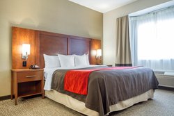 Spacious King Room at our Hotel in San Bruno, California