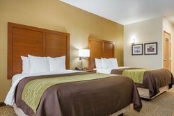 2 Queen Beds Guest Room