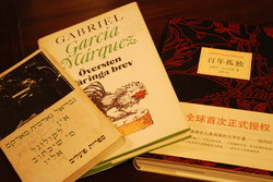 Gabriel Garcia Marquez Novels