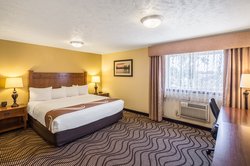1 King Bed Executive Room