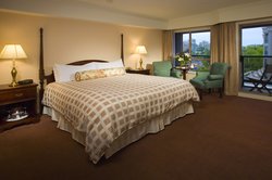Standard One Bedroom Suite