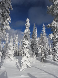 Snow Scene Lost Trail Power Mountain