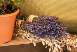 Bigstock Purple Lavender Plant