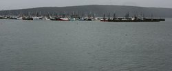 Digby Harbour at high tide