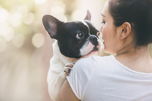 Dog-Friendly Hotel