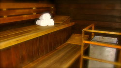 Sauna with Towels