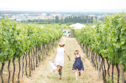 Kids are enjoying the vineyards