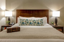 Comfort Awaits