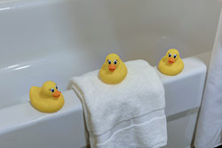 Splish Splash