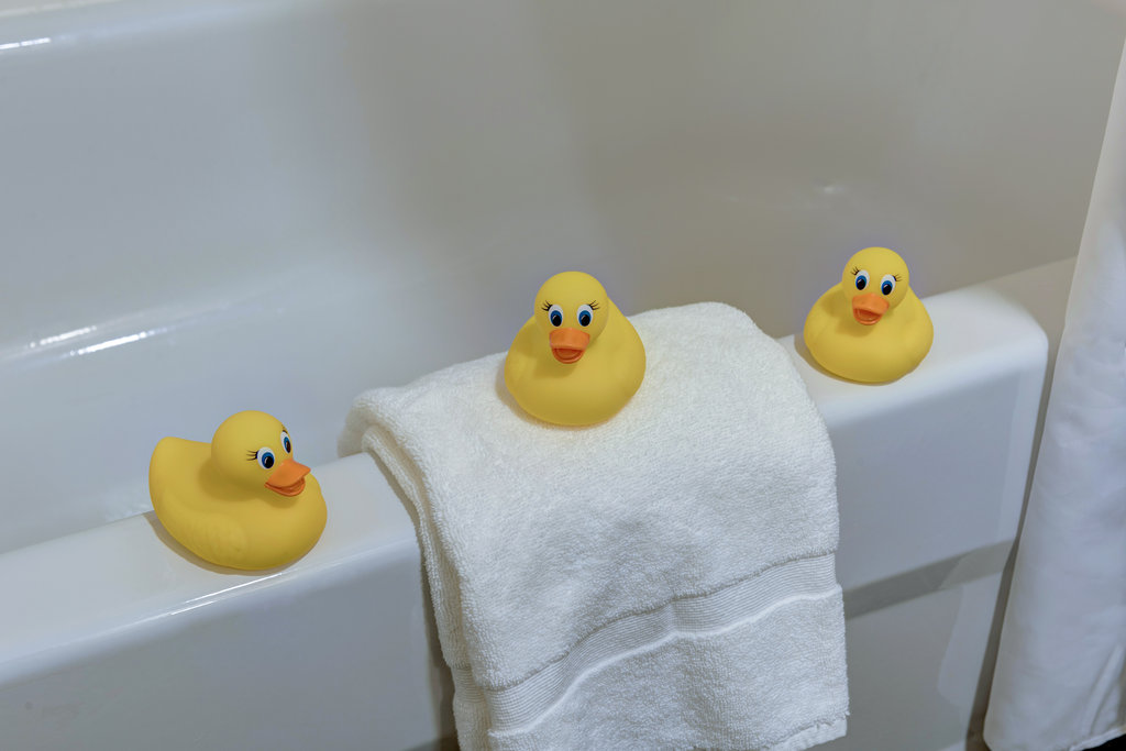 Splish Splash