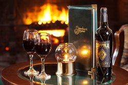 Lounge Fireplace Wine