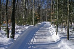Cross Country Ski Trails from the Manor's door