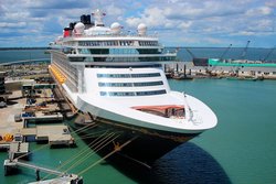 Cruise Port Disney