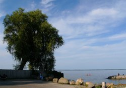 Jacksons Point