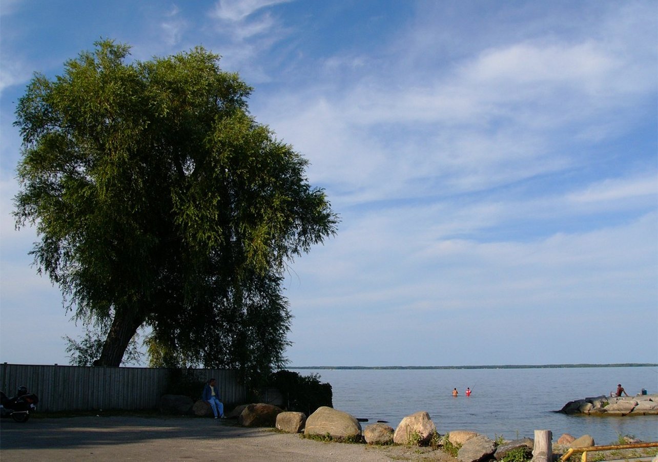 Jacksons Point