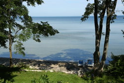 Chipshot View