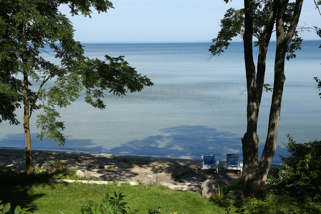 Chipshot View