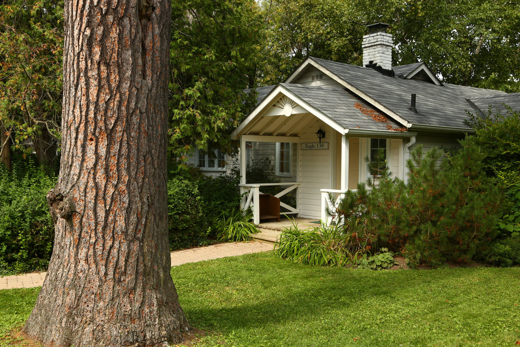 Cottage Eagle