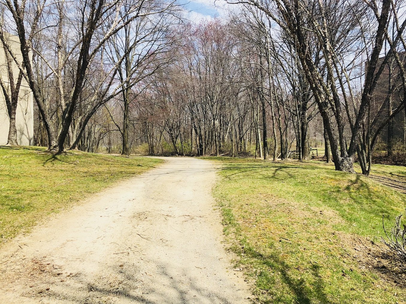 Jogging Trail