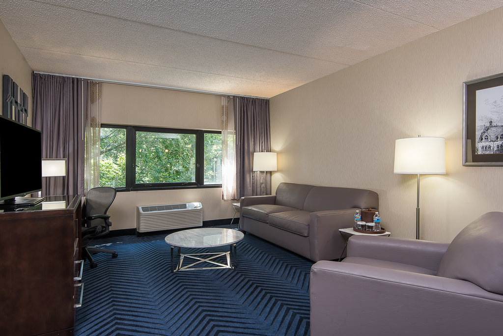King Parlor Suite Living Room