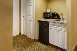 Mini-Refrigerator, Microwave, and Wet Bar