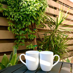 Private Patio Coffee