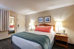 Queen Bed Room