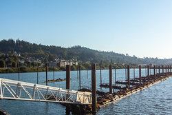 Public Deck