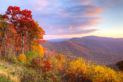 Shenandoah Valley