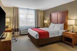 1 Queen Bed ADA