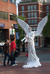 Harvard Square Angel