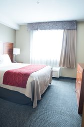 1 King Bed