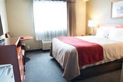 1 King Bed
