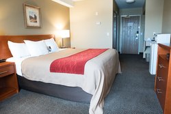 ADA 1 Queen Bed