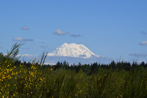 S View Of Mount Rainier From JBLM