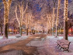 Boston in winter