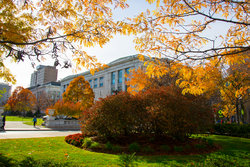 Harvard in autumn