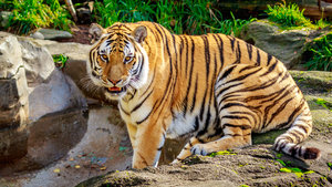 Oregon Zoo