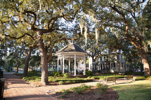 Savannah Park Squares