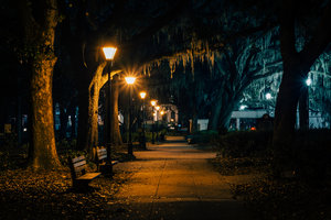 Dark Forsyth Park